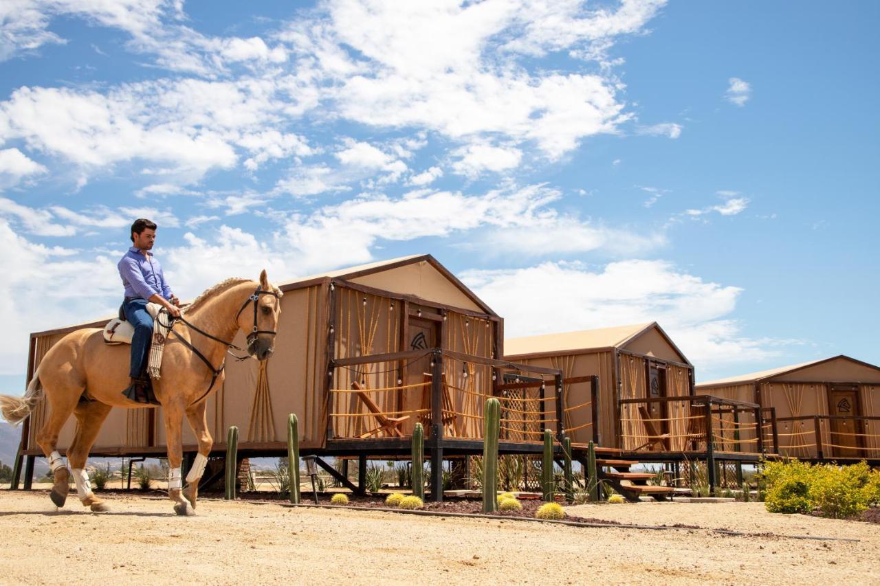 Indomito Resort & Hotel Boutique Valle de Guadalupe Luaran gambar